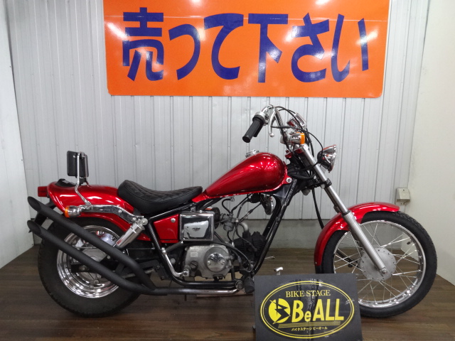JAZZ入荷しました | 愛知県安城 岡崎 豊田 知立 刈谷 西尾 幸田の 